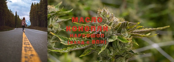 прущие грибы Верхний Тагил