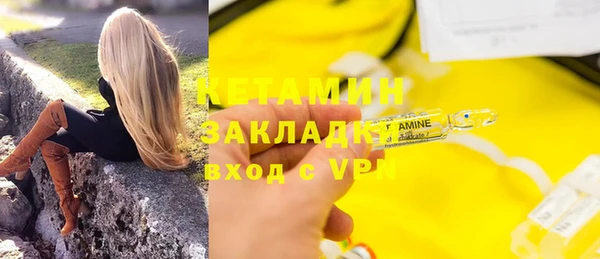 прущие грибы Верхний Тагил