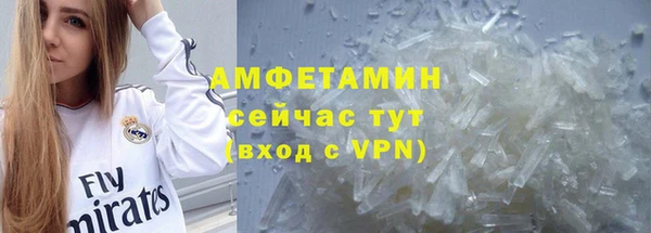 прущие грибы Верхний Тагил