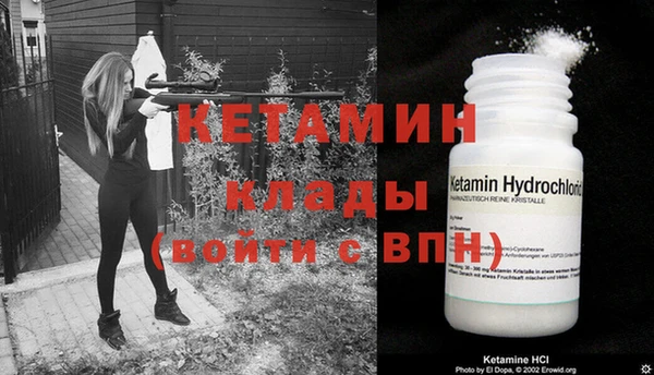 прущие грибы Верхний Тагил