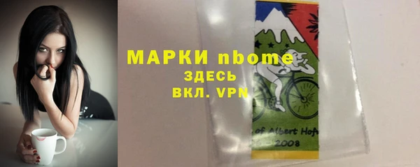 прущие грибы Верхний Тагил