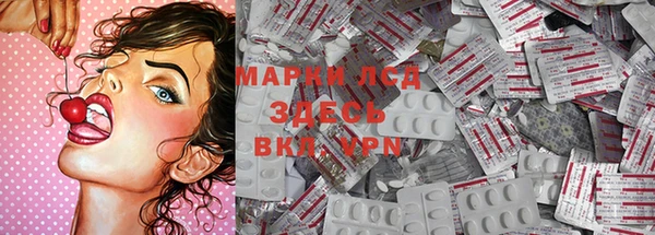 прущие грибы Верхний Тагил