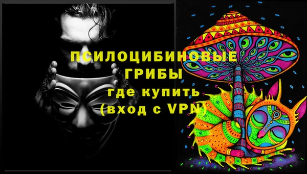 прущие грибы Верхний Тагил