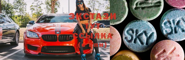 прущие грибы Верхний Тагил