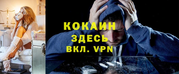 прущие грибы Верхний Тагил