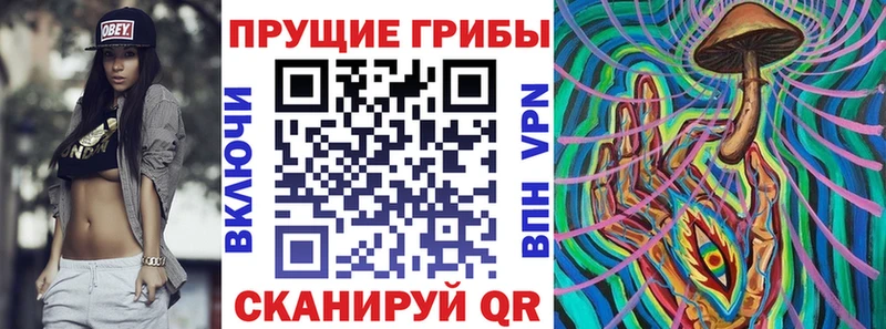 Галлюциногенные грибы GOLDEN TEACHER  Купить  Магас 